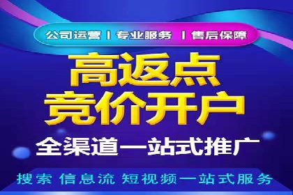 百度广告竞价策略详解：某电商平台的成功案例